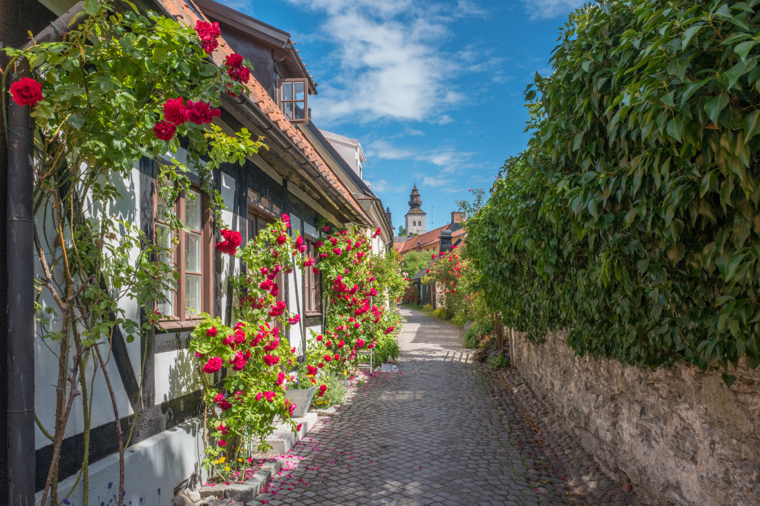 Visby under Almedalen